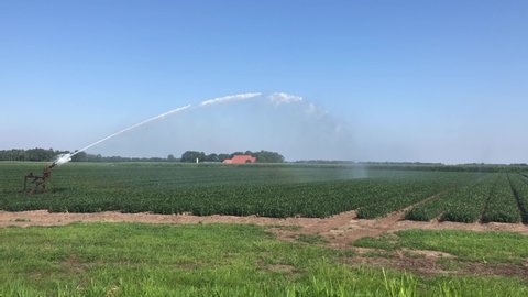 Watering farmland around Hoornsterzwaag, Friesland The Netherlands