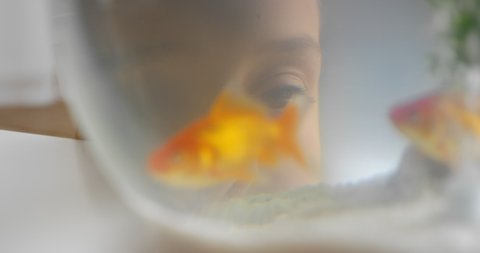 girl looking at goldfish in bowl watching fish swimming in aquarium child smiling happy enjoying aquatic pet 4k