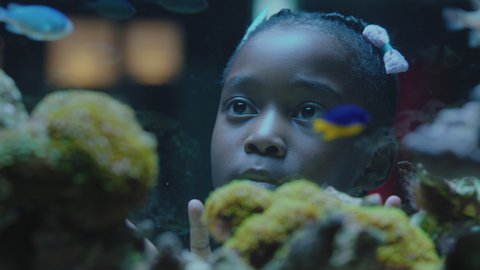 black girl looking at fish in aquarium curious child watching colorful sea life swimming in tank learning about marine animals in underwater ecosystem inquisitive kid at oceanarium
