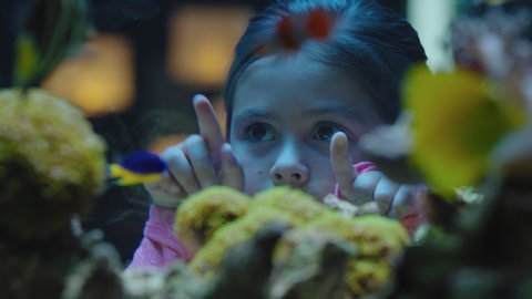 happy girl in aquarium looking at fish curious child watching colorful marine life swimming in tank learning about sea animals in underwater ecosystem inquisitive kid at oceanarium