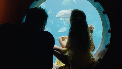 little girl with father at aquarium looking at fish swimming in tank little girl watching marine animals with curiosity dad teaching daughter about marine life in oceanarium