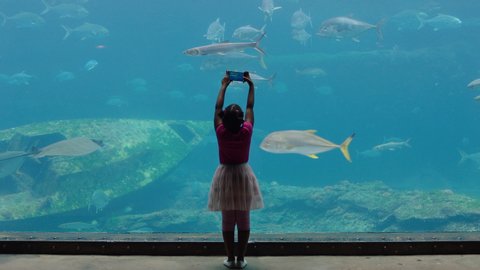little girl taking photo of fish in aquarium using smartphone photographing marine animals swimming in tank learning about sea life in aquatic habitat having fun in oceanarium
