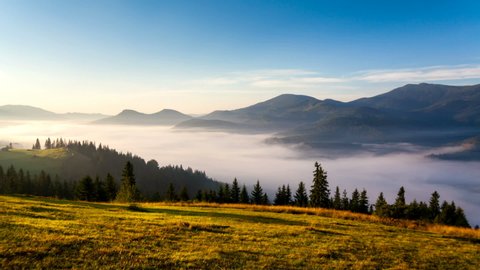 Cameron Highlands Malaysia Sunrise Green Tea Stock Photo 557784925 ...