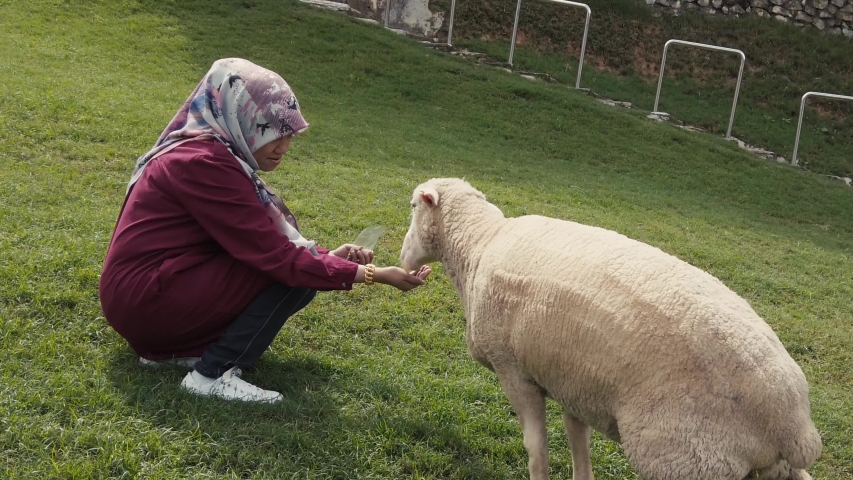 Apa Ada Di Animal Feeding Rainbow Garden Cameron Highlands Youtube