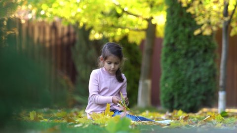Girl on the outdoor is playing and rejoices with autumn leaves. 4K video.