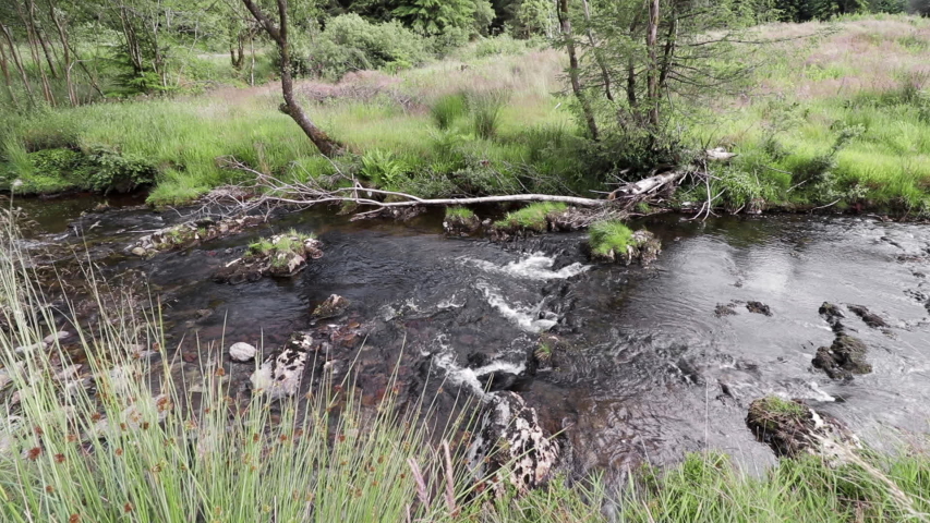 River Severn running through Hafren forest, in Powys, mid Wales