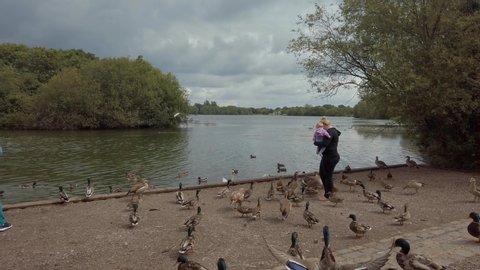 Wokingham / United Kingdom (UK) - 07 18 2019: Woman and baby feeding ducks at the side of a lake
