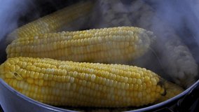 Top view boiling sweet corn.closeup corn with smoke