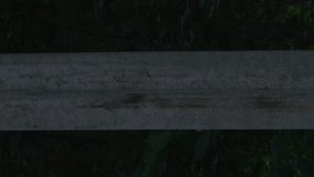 Lonely concrete pillar in a dark dense wild forest. Video with calm and phlegmatic/melancholy mood. Tilted video frame-looks good as a background/texture for text and title. Abstract Symmetry Style.