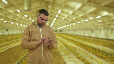 The worker in uniform examines process on poultry farm using smartphone. 4K
