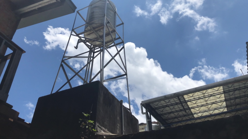 Special plant decorative picture of the film
 