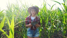 smart farming slow motion video concept. girl agronomist holds tablet touch pad computer in the corn field is studying and examining crops before harvesting. woman a Agribusiness concept. female