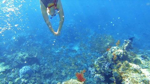 
Freediving girl dives to marine sea deep, background with corals and swimming fish. Colorful marine life amid deep blue water.