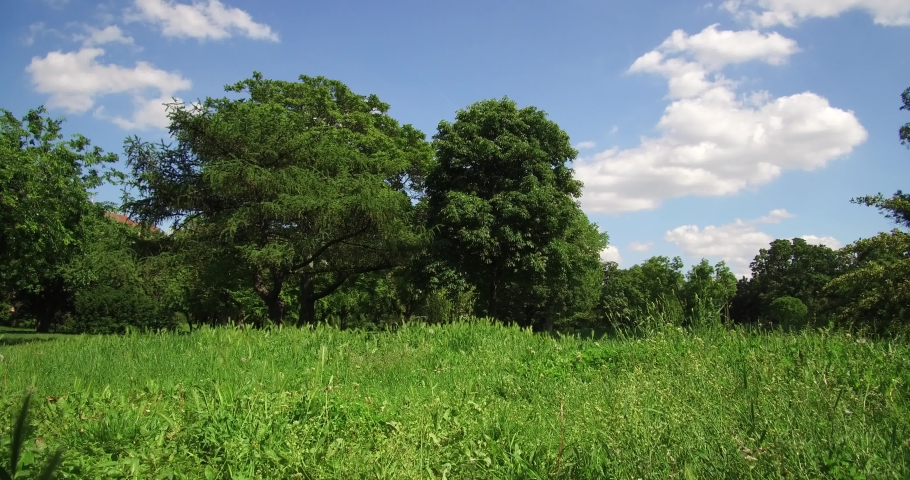 The green summer Blood Field park under the blue sky with clouds.
