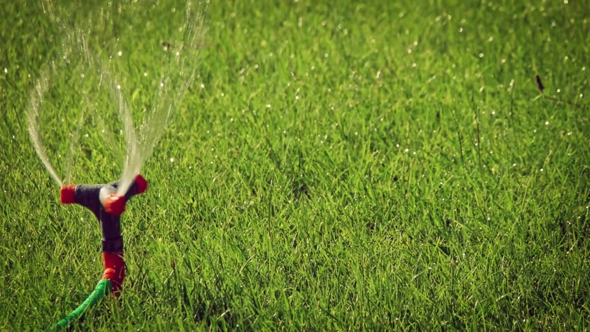 Panning shot of lawn sprinkler worling in summer day in slow motion