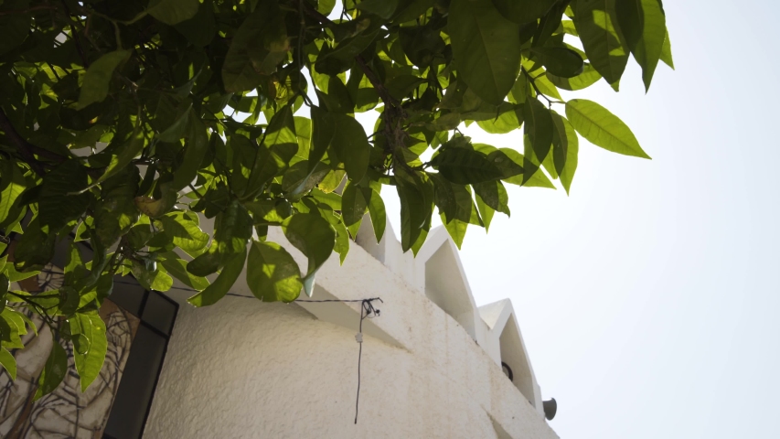 The sun glints through the tree as we pan down outside St Teresa Catholic Church in Cala De Mijas on the Costa Del Sol in Southern Spain.