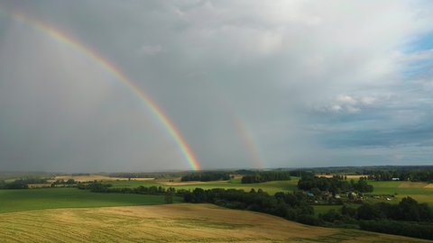 Rainbow Above Wheat Field. Flight Above Ripe Crop Field After Rain and Colorfull Rainbow in Background Rural Countryside. Areal Dron Shoot.