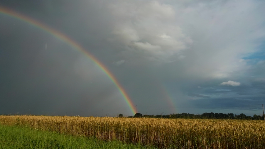 Shutterstock video thumbnail