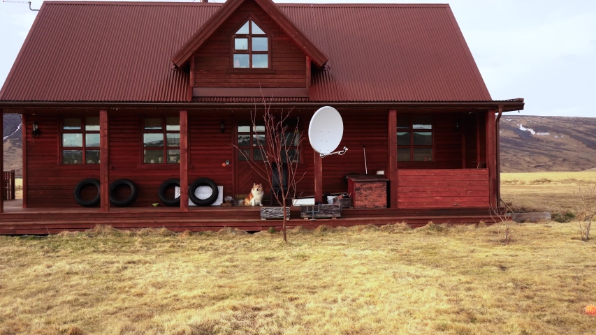 Dolly towards remote house in Iceland, with cute, furry dog waiting on the front porch. Shot on the Sony a7iii and Ronin S.