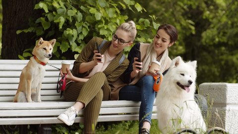 Medium shot of two female friends holding smartphones sitting on bench outdoors and making photos of Shiba Inu sitting on bench. White Samoyed sitting nearby