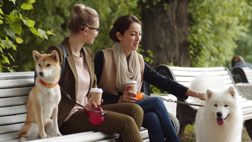 Medium shot of two young women with coffee paper cups sitting on bench in park, talking and petting their dogs | Shutterstock HD Video #1034594363