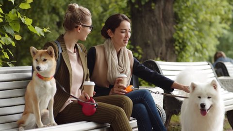 Medium shot of two young women with coffee paper cups sitting on bench in park, talking and petting their dogs