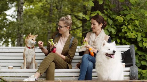 Lockdown of two female friends sitting on bench in park with sandwiches, feeding dogs sitting nearby and then eating themselves