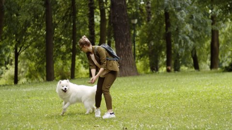 Wide shot of blonde young woman wearing trendy clothes holding stick and playing with Samoyed on grass in woods