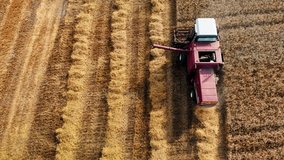 Flight Over Wheat Field, Harvester Aerial 4K Video. Rural Combine Crop Grain Nature