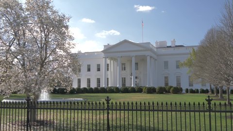 The White House and cherry blossom, Washington DC, United States of America, North America