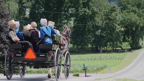Strasburg , Pennsylvania / United States - 06 22 2019: Strasburg, Pennsylvania, June 2019 - An Amish Open Horse and Buggy with Family Riding along the Road on the Countryside