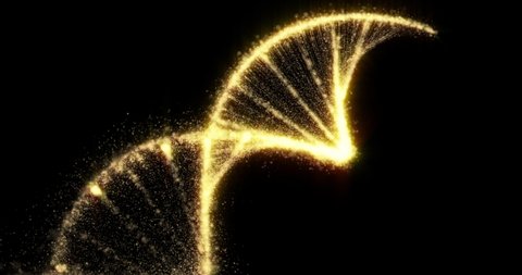 DNA spiral of gold particles. Golden glittering DNA helix on black premium background for skincare medical cosmetic, genetics technology and science