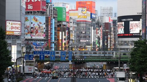 Tokyo / Japan - 05 08 2019: Shinjuku is a special ward in Tokyo, Japan. It is a major commercial and administrative centre.