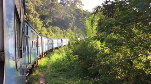 Video of local blue train running on the tracks in Sri Lanka in the morning with tropical green trees view on the mountain One of the most popular public transports for both local people and tourists
