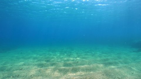 Under water surface and sandy seabed in the Mediterranean sea, natural scene, French Riviera, Port-Cros, Var, France