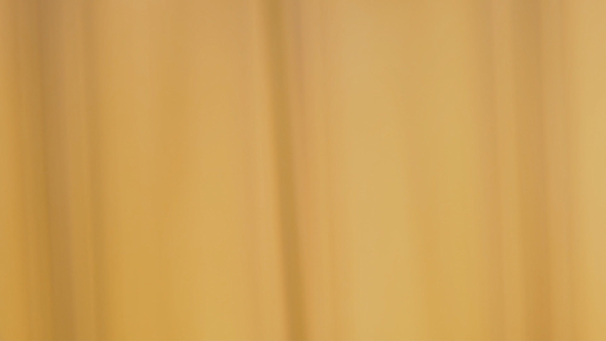 parrot head from very close range