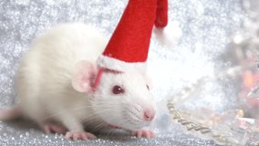 a white rat in Santa's Christmas cap on a silver background, next to a multi-colored flashing garland in the form of snowflakes. close-up. symbol of 2020. copy space - Powered by Shutterstock - Get 15% off with code: PIKWIZARD15