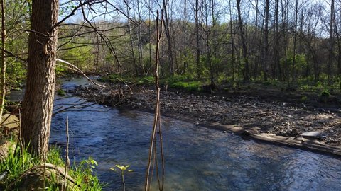 Footage of creek/river on a sunny, spring day