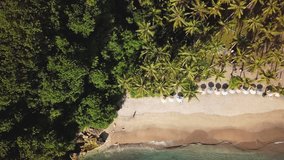 Aerial view of tropical beach in Bali with palm trees, white sand beach and turquoise blue water; Drone point of view of beach from directly above