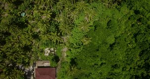 View from flying drone from above on palm trees, plants and local houses. Bali, Indonesia