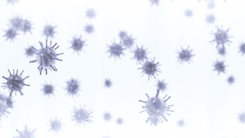 Virus cells flowing animation on white background. 4K seamless loop