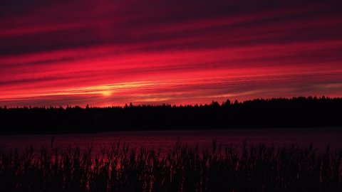 Red sunset on the lake