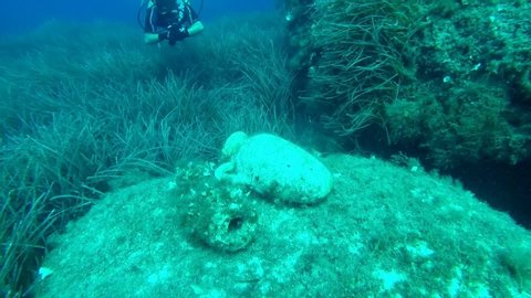 Cirkewwa, Mellieha / Malta - 08/06/2019
A scuba diver examines two amphorea on a rock on the northern coast of Malta. The artifacts are actualy film props from the film 'Troy' starring Brad Pitt.