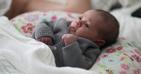 2 Week Old Black Baby Stock Footage Video 100 Royalty Free Shutterstock