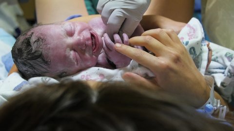 
HEBER, UT, UNITED STATES, JULY 1, 2019: new born baby on mothers chest right after birth. New mother holds brand new baby on her chest immediately following birth.