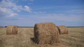 agriculture farming concept slow motion video. haystacks on wheat field under the beautiful blue cloudy sky. Agriculture field with sky. Rural nature in the farm land. Straw on the meadow. Wheat