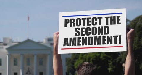 A man holds a Protect the 2nd Amendment protest sign in front of the White House on a sunny summer day.	 	