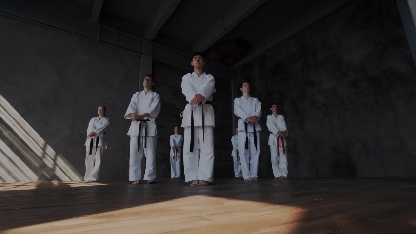 Overall or general view of brave students while they perform aggressive attack with leg kicks. Practice taekwondo or karate. Exercises with special breathing technique. Royalty-Free Stock Footage #1034838308