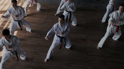Group training fighting stance in martial arts. Warlike, brave Male and female teens practice fight technique. They show powerful kicks and raise their legs high up. General top view