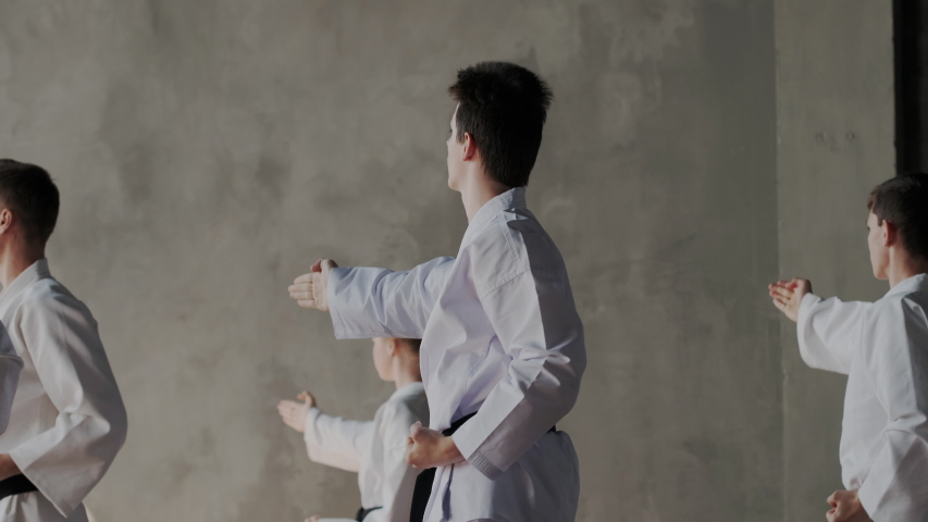 A group of young people in the martial arts class perform an attack and kicks. Professional athletes are preparing for a championship or competition. Taekwondo or karate. Royalty-Free Stock Footage #1034854499